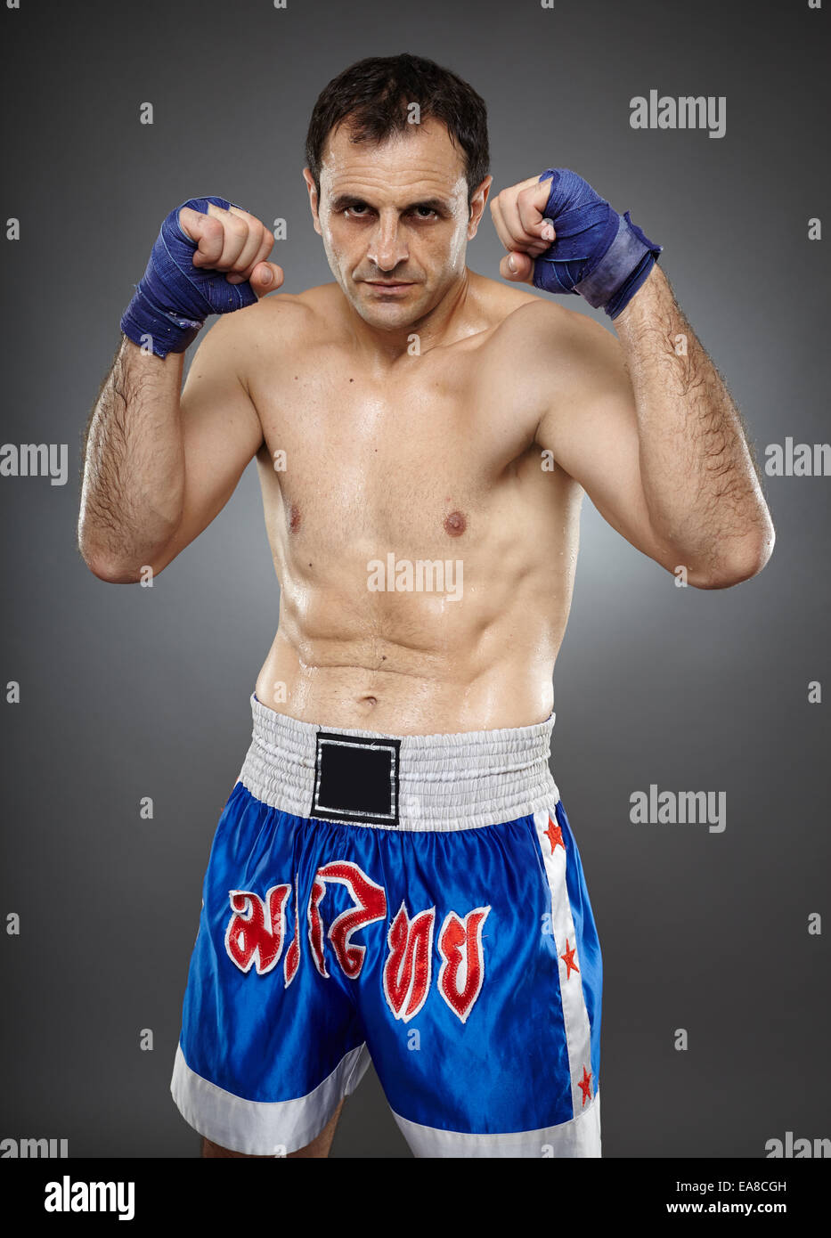 Kickbox or muay thai fighter in guard stance Stock Photo Alamy