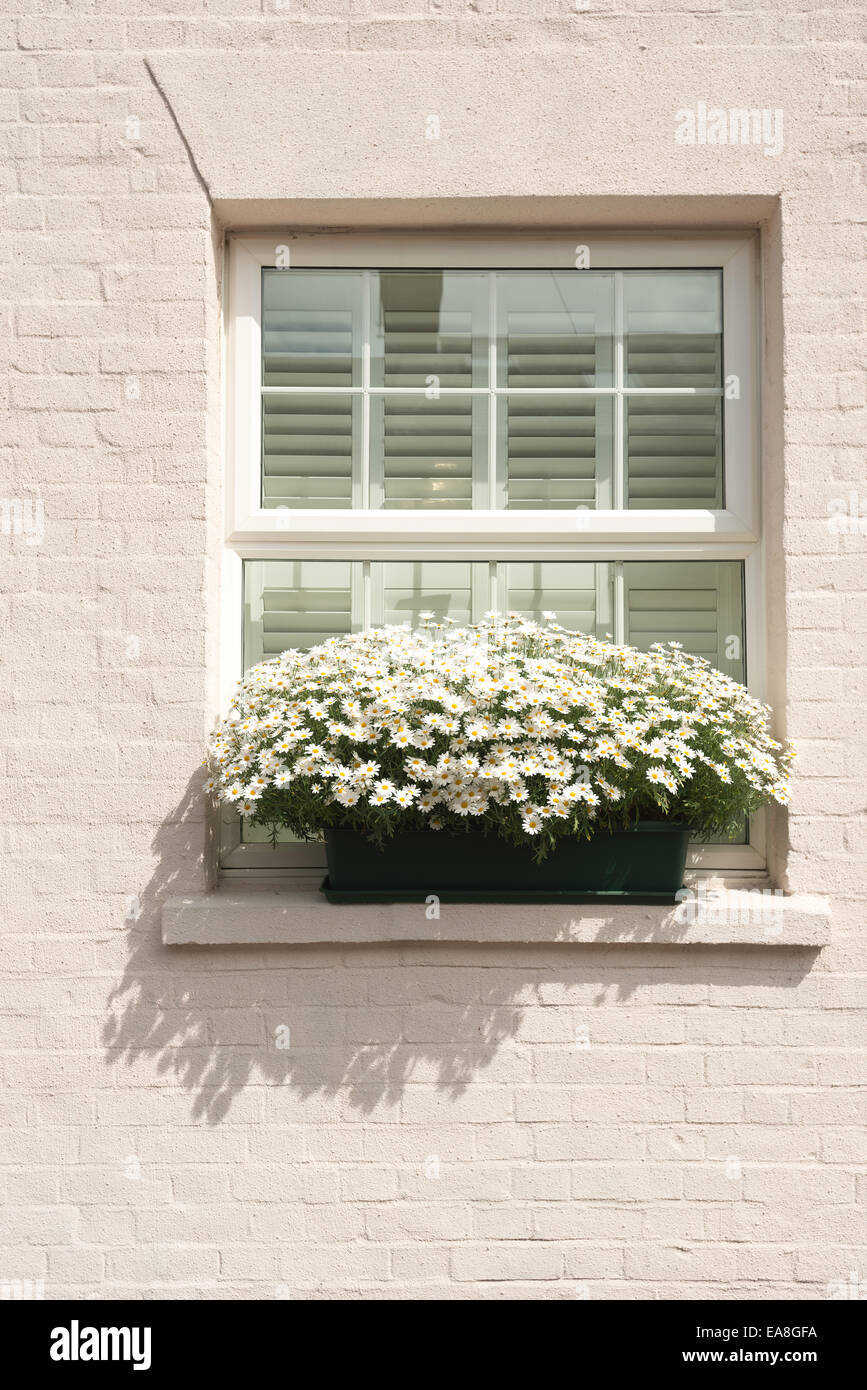 Louvered window hires stock photography and images Alamy