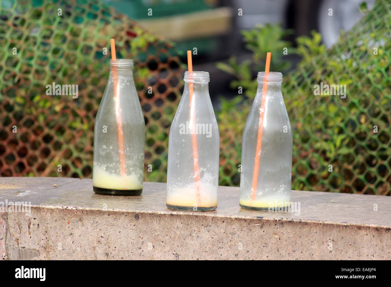 https://c8.alamy.com/comp/EA8JP4/bottles-straw-milk-three-glassempty-putting-on-the-wall-in-connaught-EA8JP4.jpg