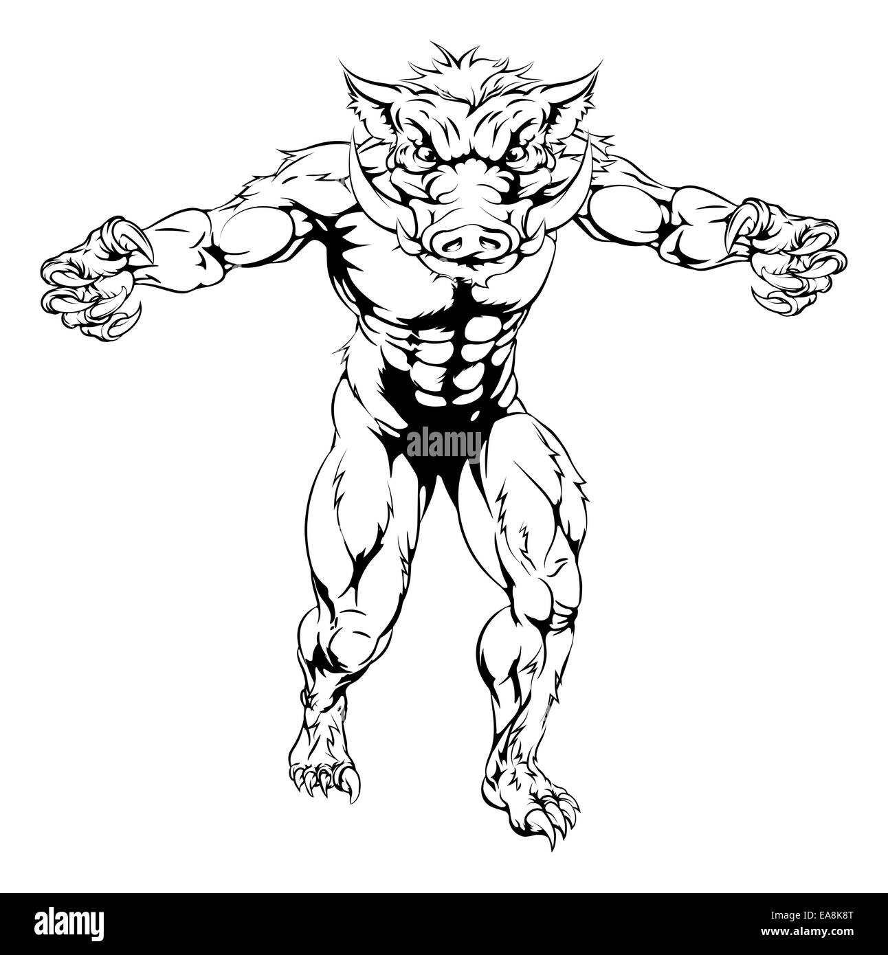 A drawing of a boar sports character mascot standing with claws out Stock Photo