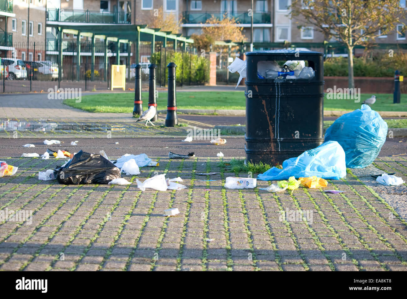 Rubbish in the street in Weymouth,Dorset,UK Stock Photo Alamy