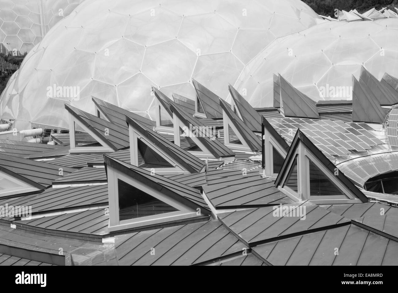Eden project Black and White Stock Photos & Images Alamy