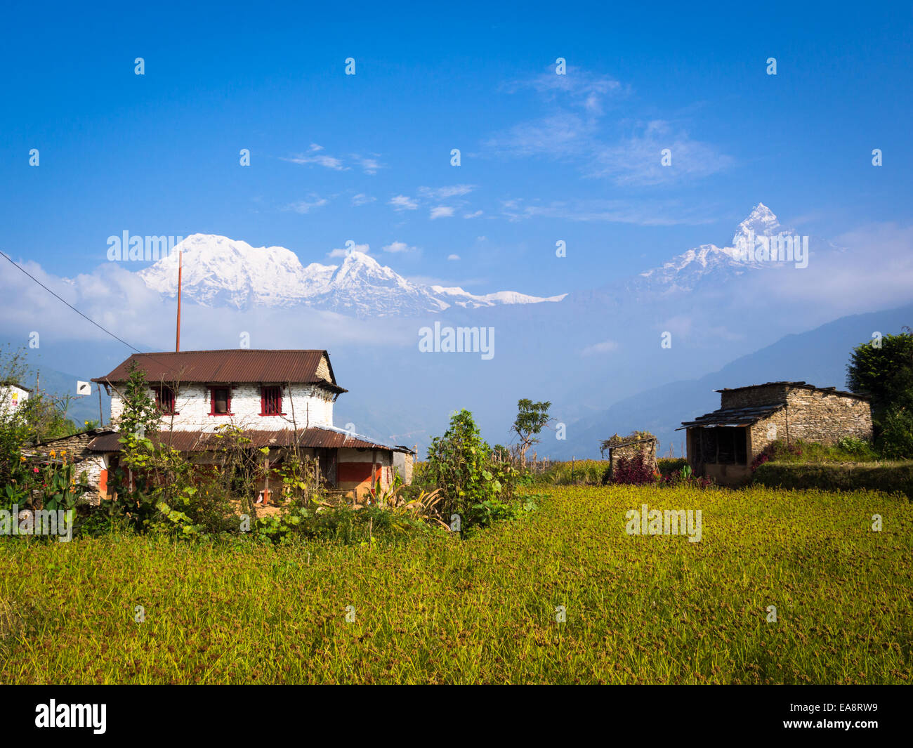 House For Sale Millet at Ollie Stringer blog