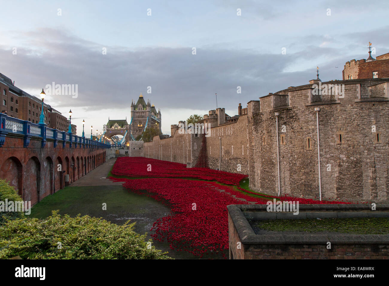 Tower of london moat hi-res stock photography and images - Alamy