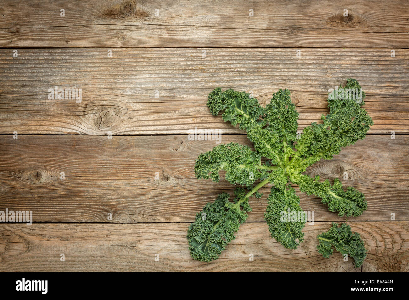 green kale leaves on a rustic wood with a copy space Stock Photo