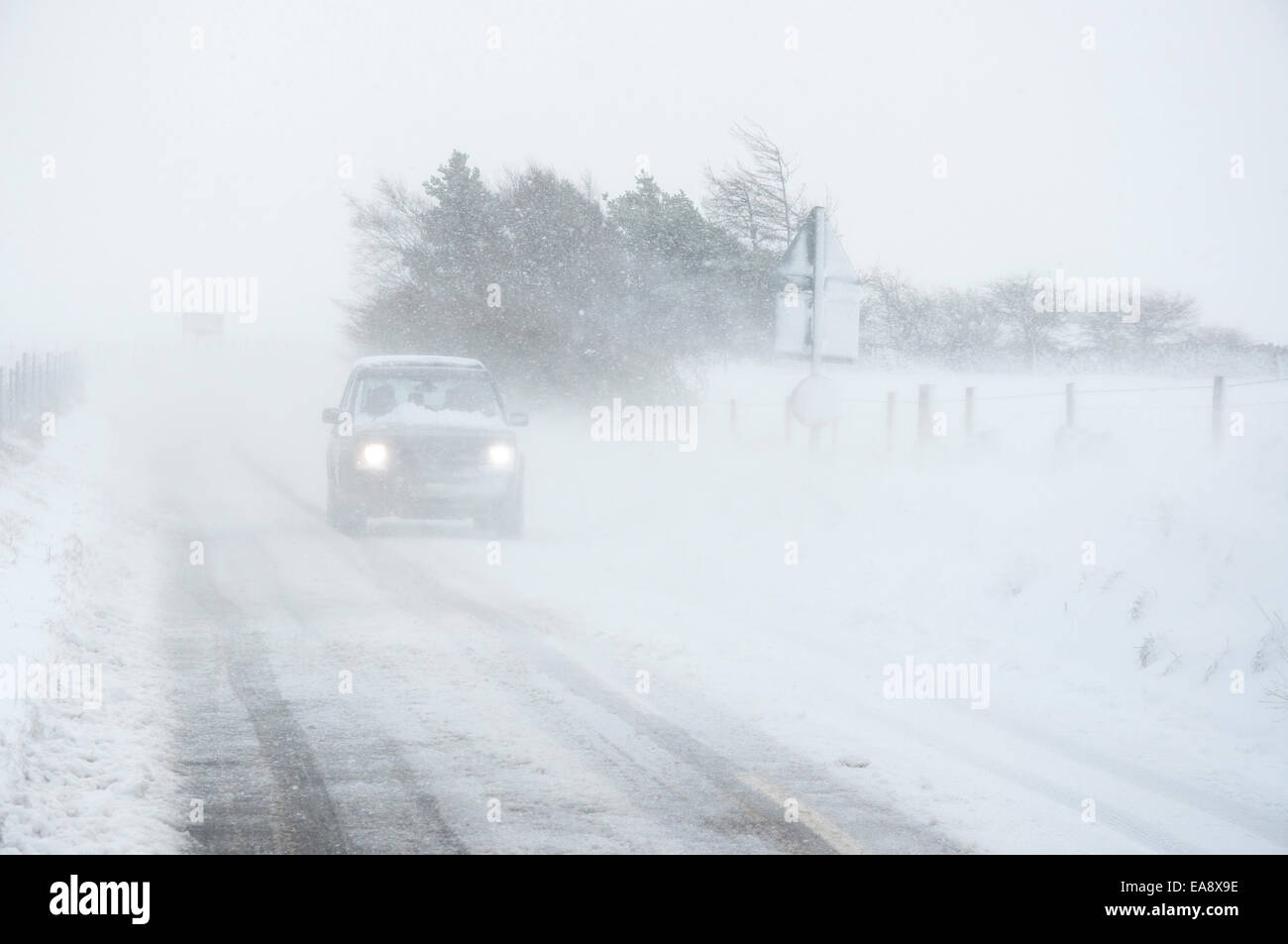A car in blizzard conditions driving down Monks road with headlights on. Wind blowing snow across road. Stock Photo