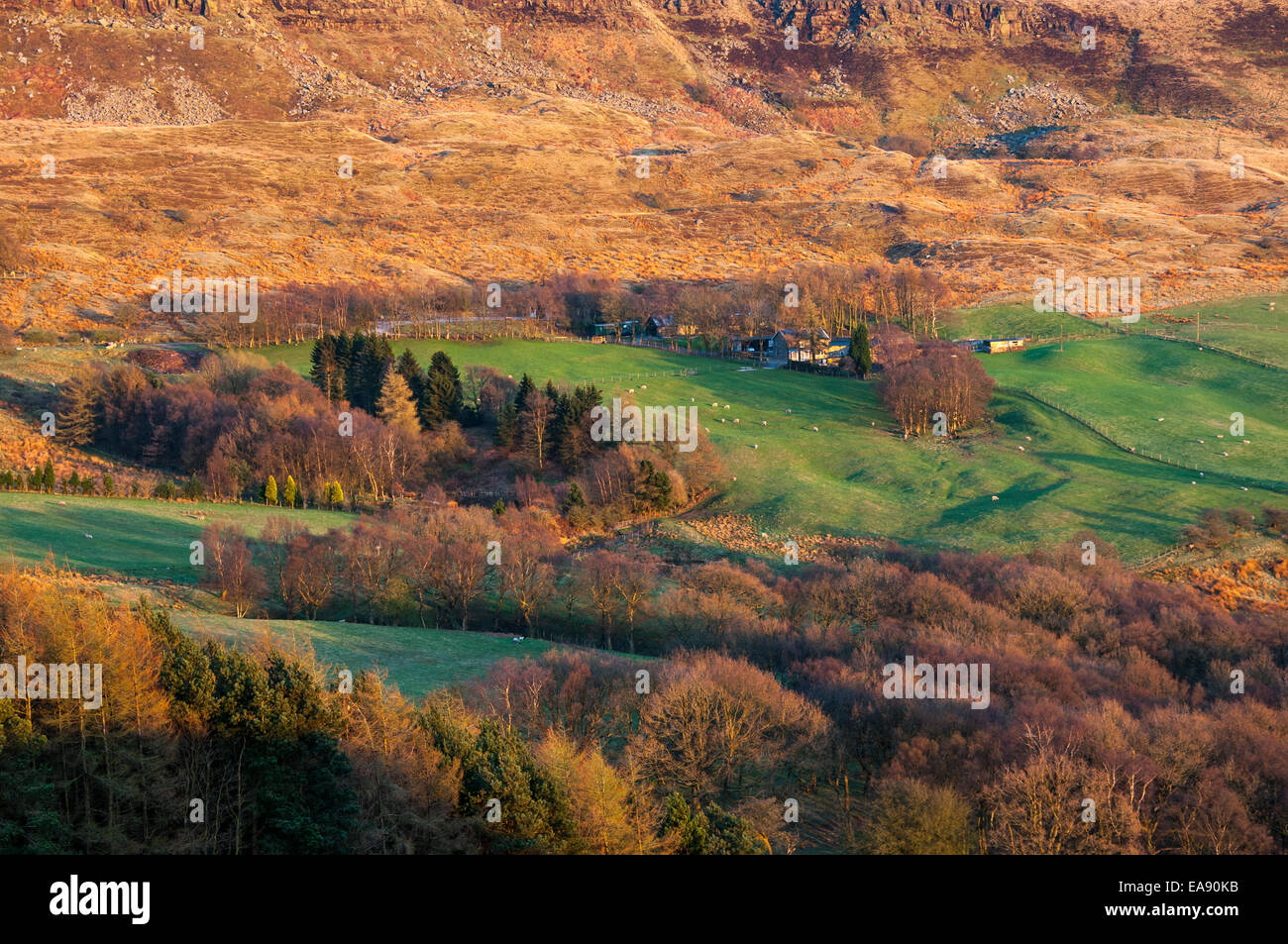 Farmhouse below Coombes edge in Charlesworth, Derbyshire. Warm evening sunlight on the hillside. Stock Photo