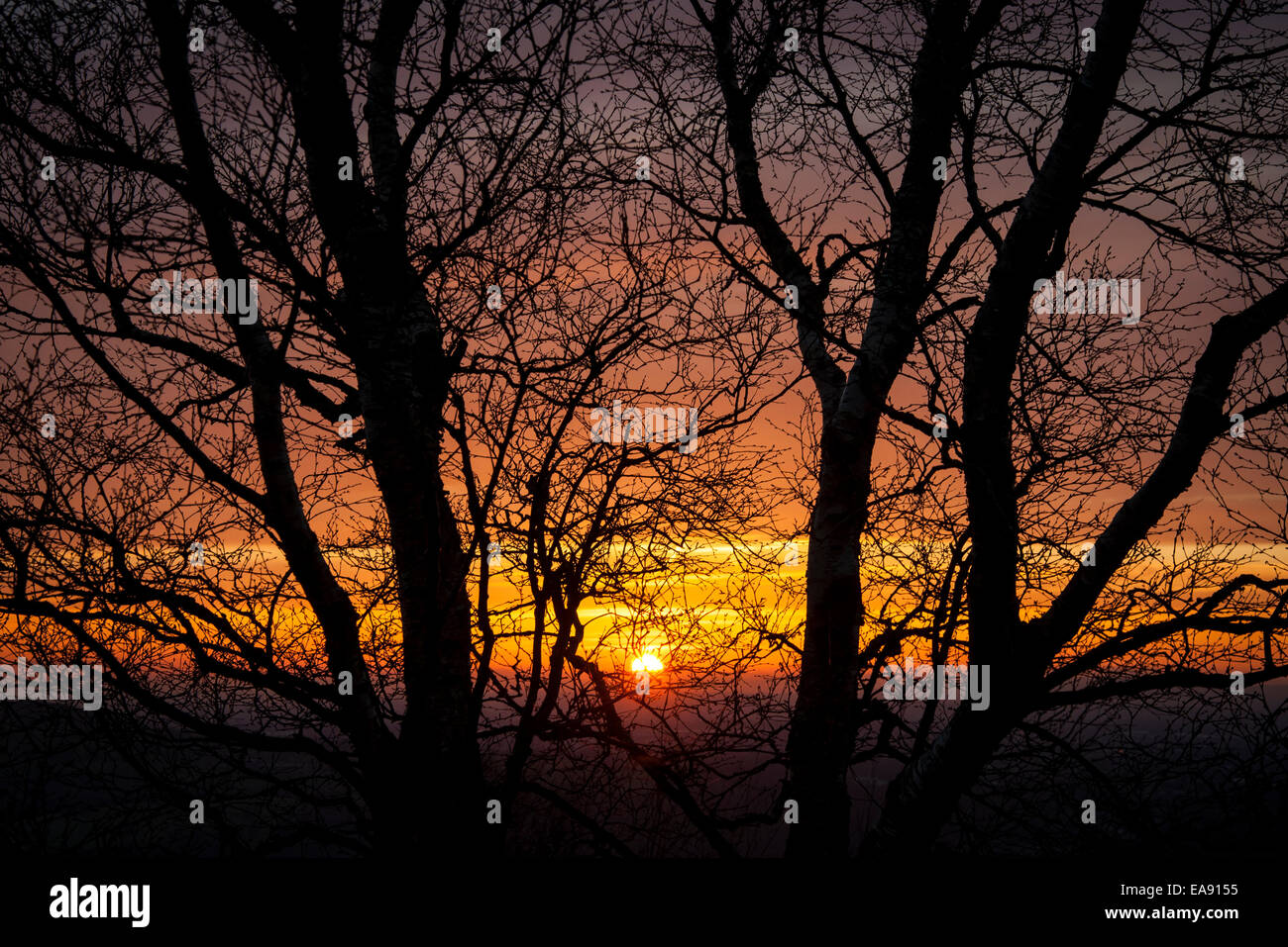 Bare tree branches silhouetted against a beautiful sunset sky Stock ...
