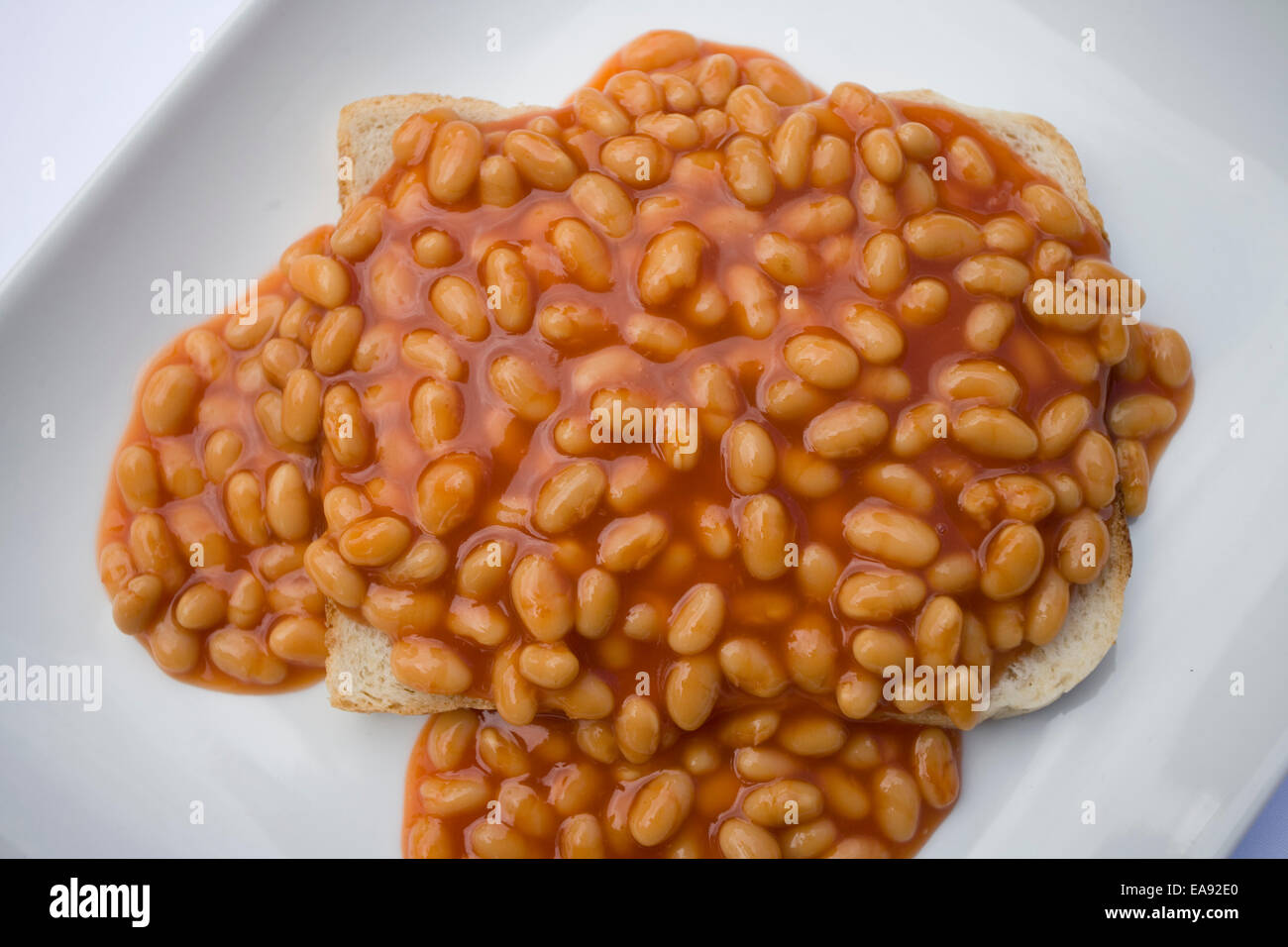 Baked beans on toast on a white plate on a white background Stock Photo