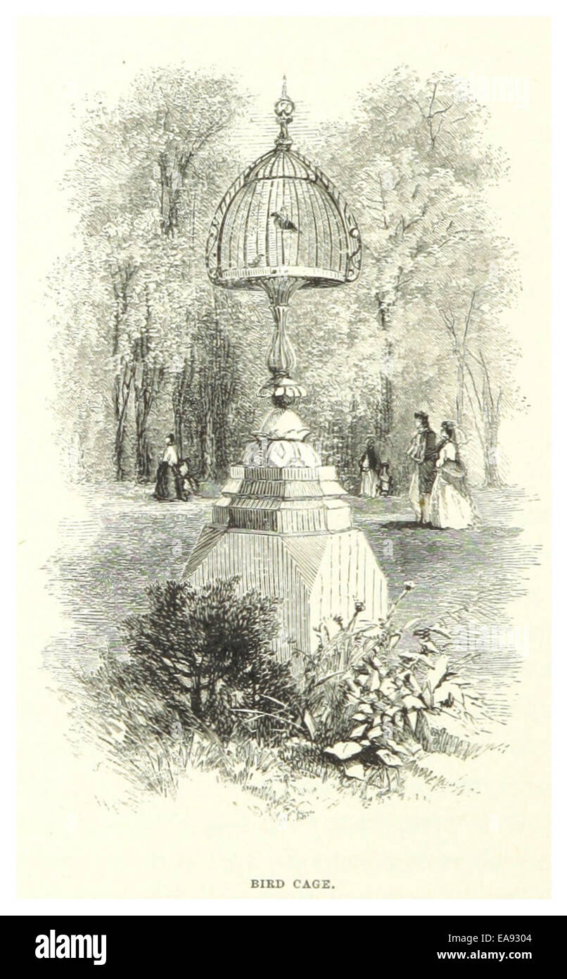 new look plus size blouses