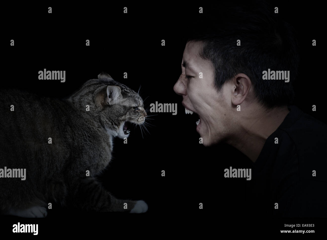 Close up of a Cat and Man showing anger towards each other on black background with light on faces Stock Photo