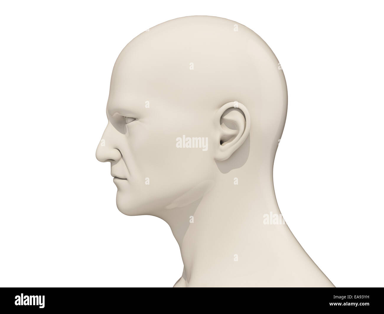 Human head side view isolated on a white background Stock Photo