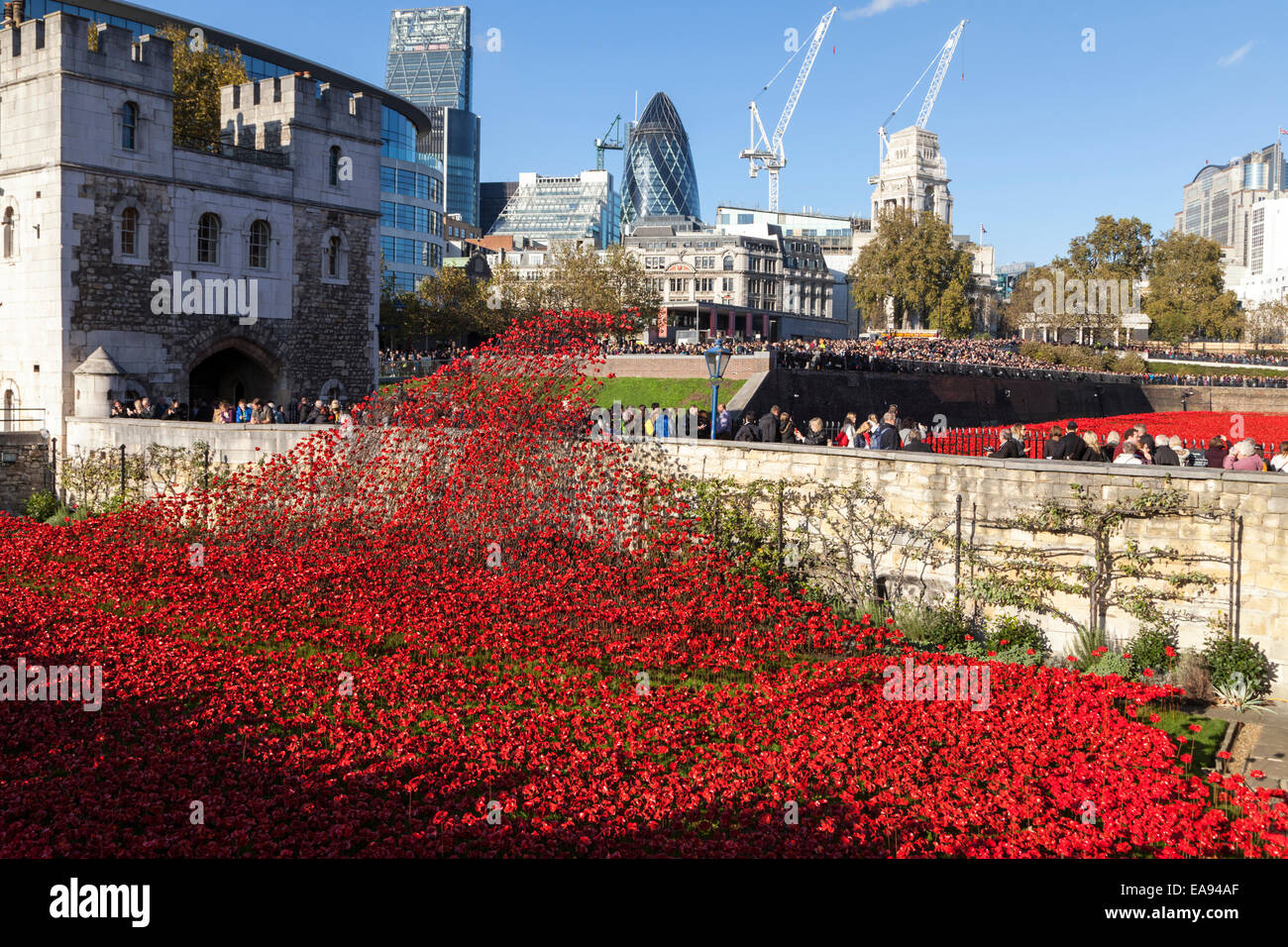 London, UK, 9th November 2014, Remembrance Sunday poppy display at the Tower of London. Crowds gather in the afternoon sunshine to view ceramic artist Paul Cummins display of 888246 ceramic poppies to commemorate British military fatalities and remember service personnel killed during conflicts. This has been one of the business days at the display and queues surround the Tower. Credit:  Imageplotter Travel Photography/Alamy Live News Stock Photo