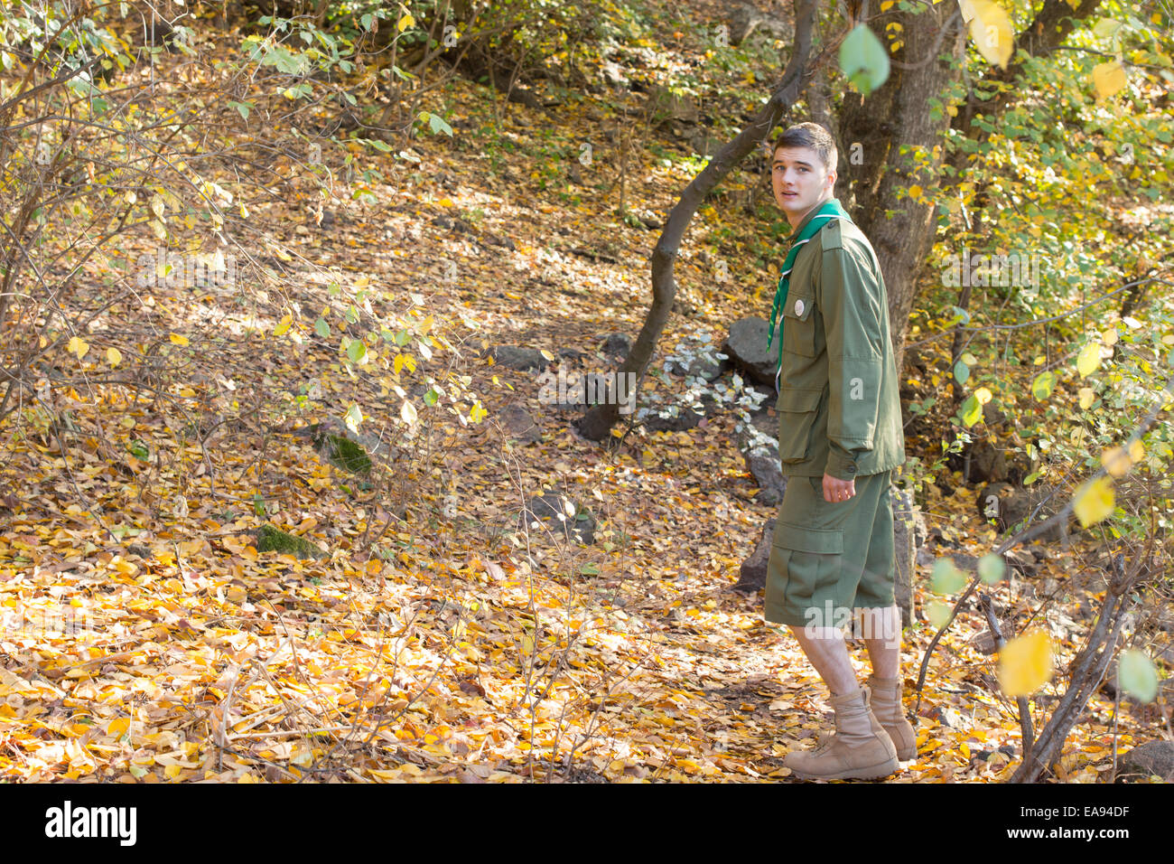 Scout or ranger walking through woodland in his uniform turning to look at the camera as he passes, with copyspace Stock Photo