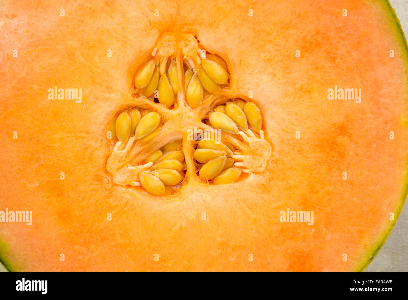 cantaloupe melon fruit Stock Photo Alamy