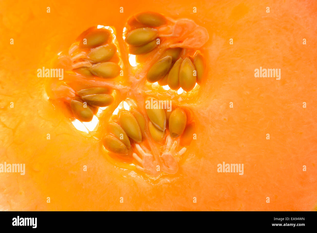 cantaloupe melon fruit Stock Photo Alamy