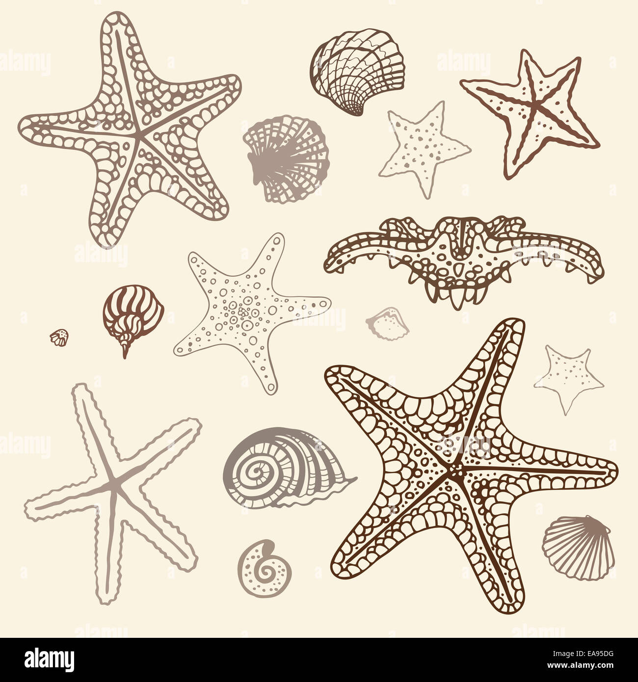 Sea Starfish set. Hand drawn vector illustration Stock Photo - Alamy