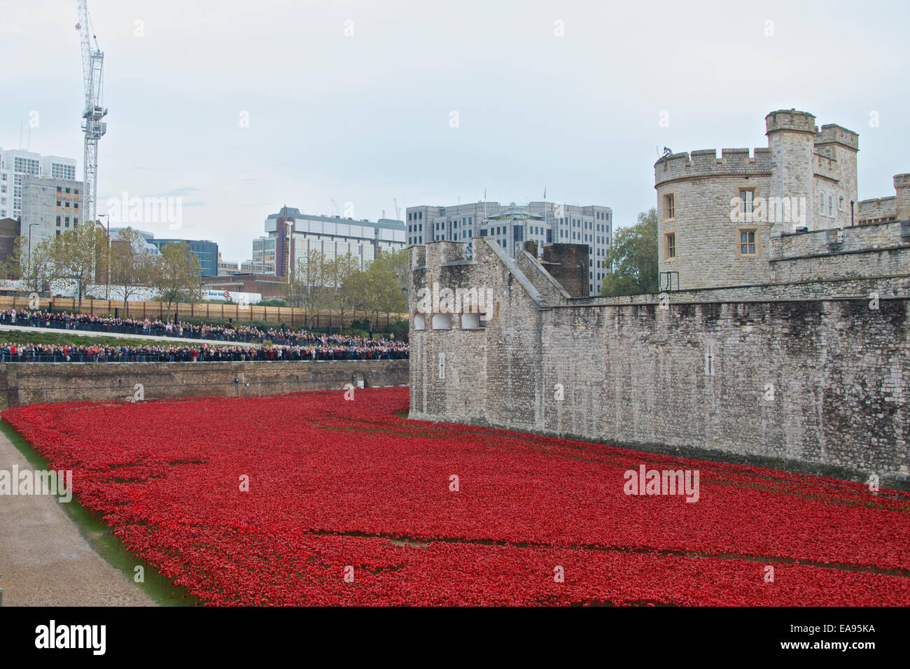 Crowds applaud following the two minute silence on the morning of Remembrance Sunday 9th November 2014 at the Tower of London where the moat is filled with commemorative poppies. The art instillation entitled Blood Swept Lands and Seas of Red which commemorates the centenary of the start of WW1 in 1914 has attracted millions of visitors. Stock Photo