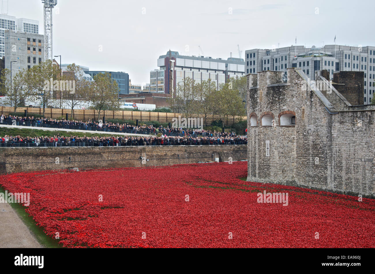 Crowds gather on the morning of Remembrance Sunday 9th November 2014 at the Tower of London, to see the poppies in the moat.The art instillation entitled Blood Swept Lands and Seas of Red which commemorates the centenary of the start of WW1 in 1914 has attracted millions of visitors. Stock Photo