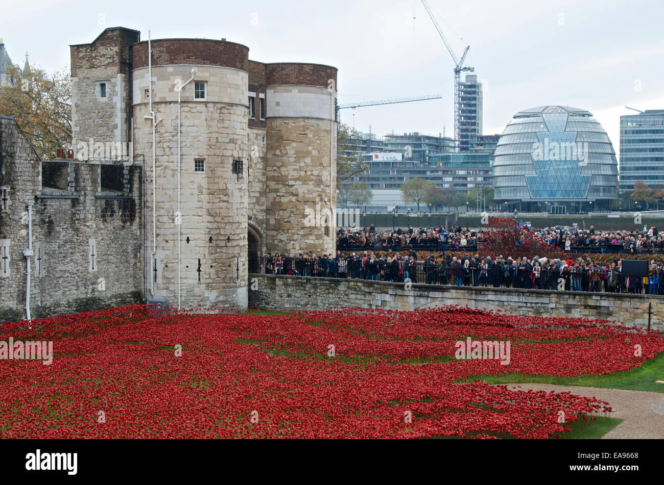 Crowds gather on the morning of Remembrance Sunday 9th November 2014 at the Tower of London, to see the poppies in the moat. Stock Photo