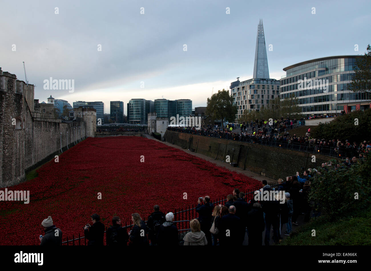Crowds gather early in the morning of Remembrance Sunday 9th November 2014 at the Tower of London, to see the poppies in the moat. Stock Photo