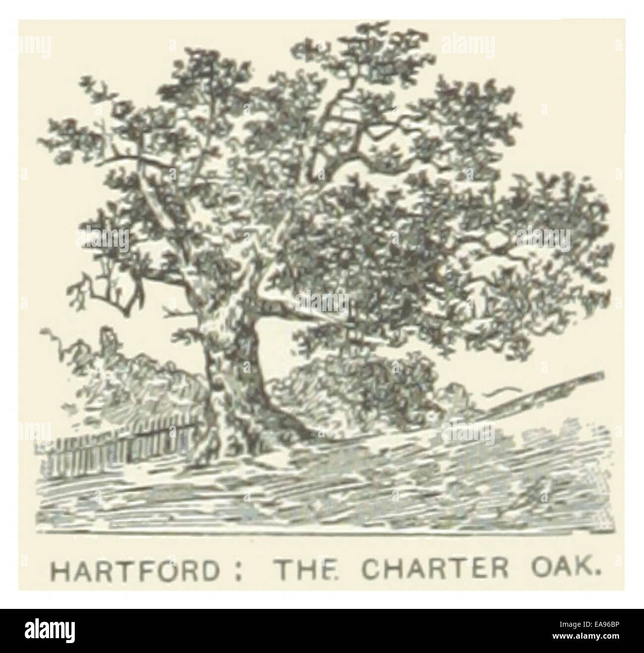USCT(1891) p120 HARTFORD, THE CHARTER OAK Stock Photo Alamy