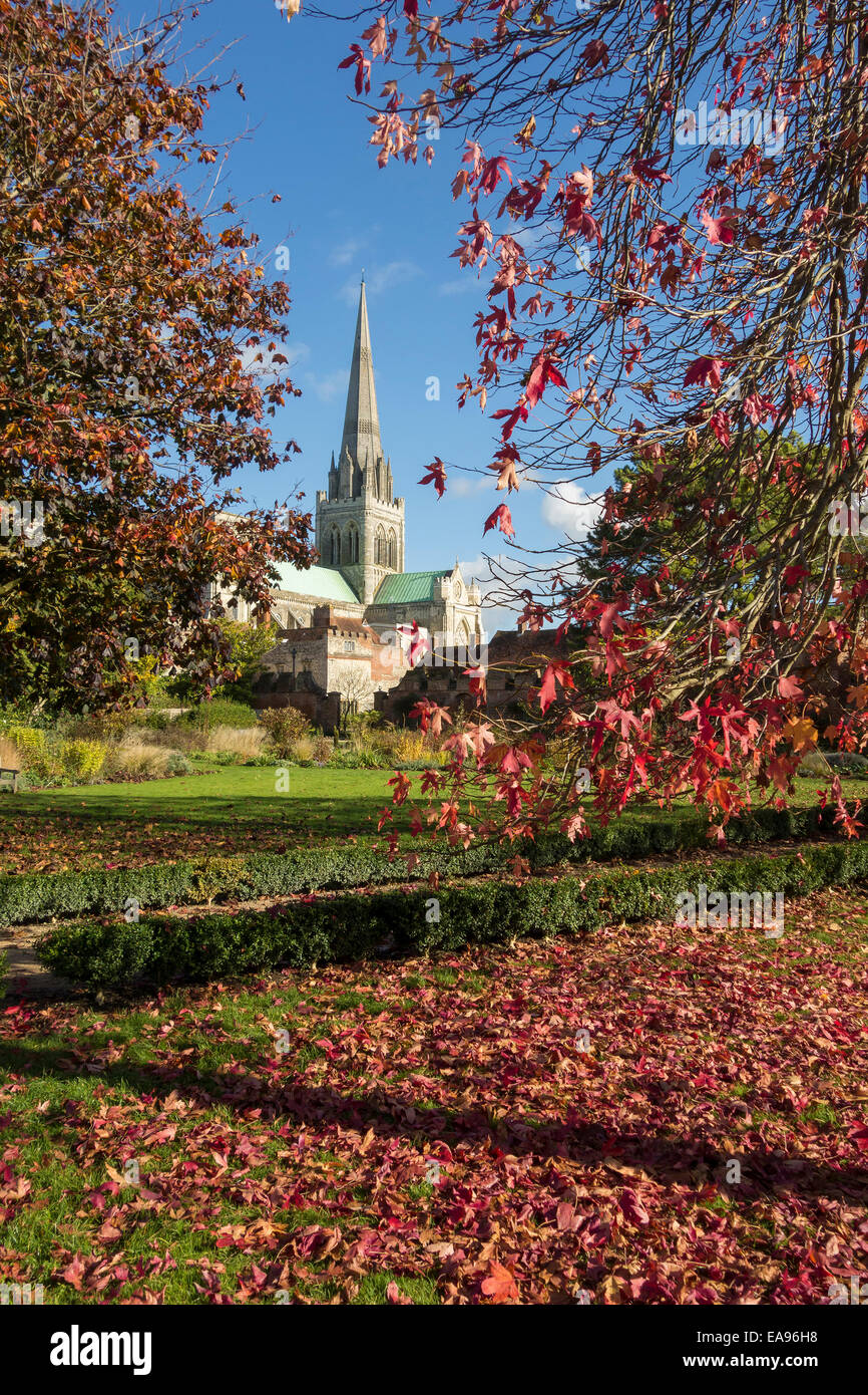 palace gardens in chichester showing autumn colours with fallen