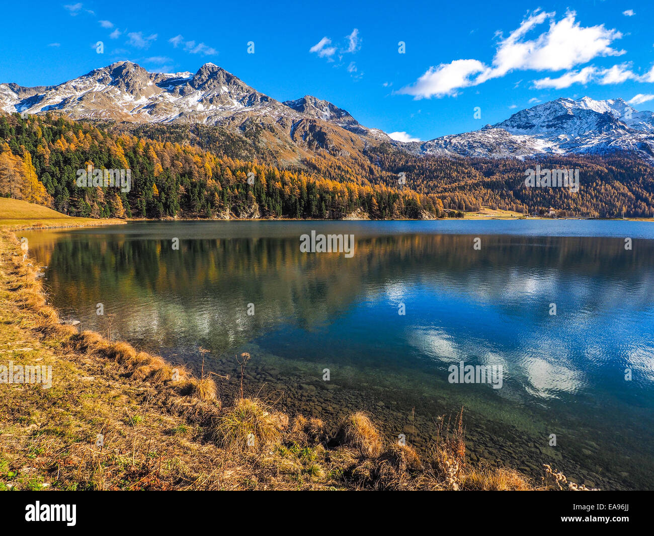 Autumn reflections on the lake Silvaplana, Engadine Saint Moritz, Switzerland Stock Photo