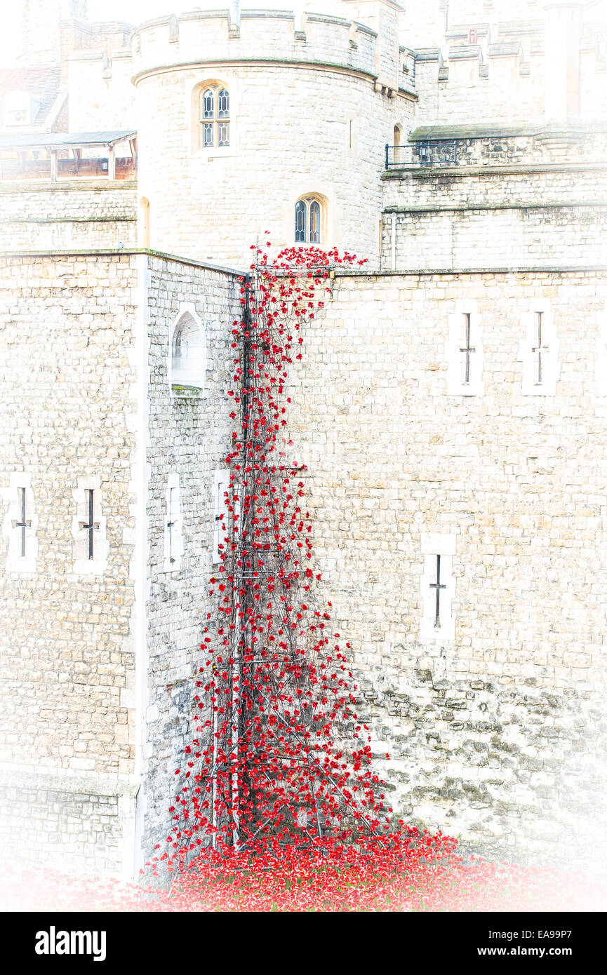 Poppies at Tower of London Poppies display Stock Photo Alamy