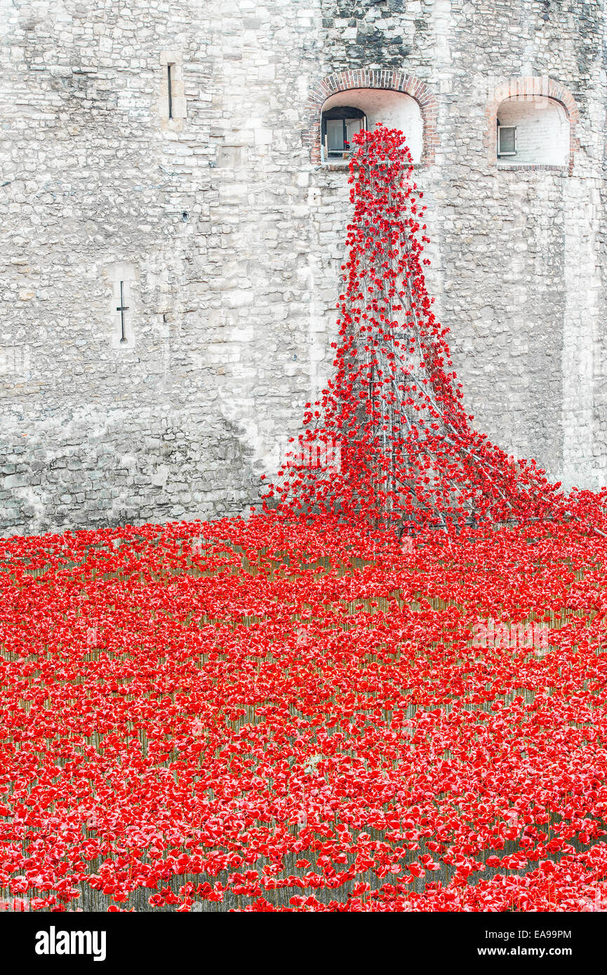 Poppies at Tower of London Poppies display Stock Photo Alamy