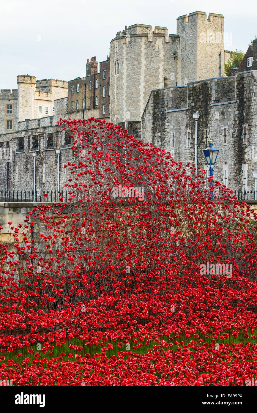 Poppies at Tower of London Poppies display Stock Photo