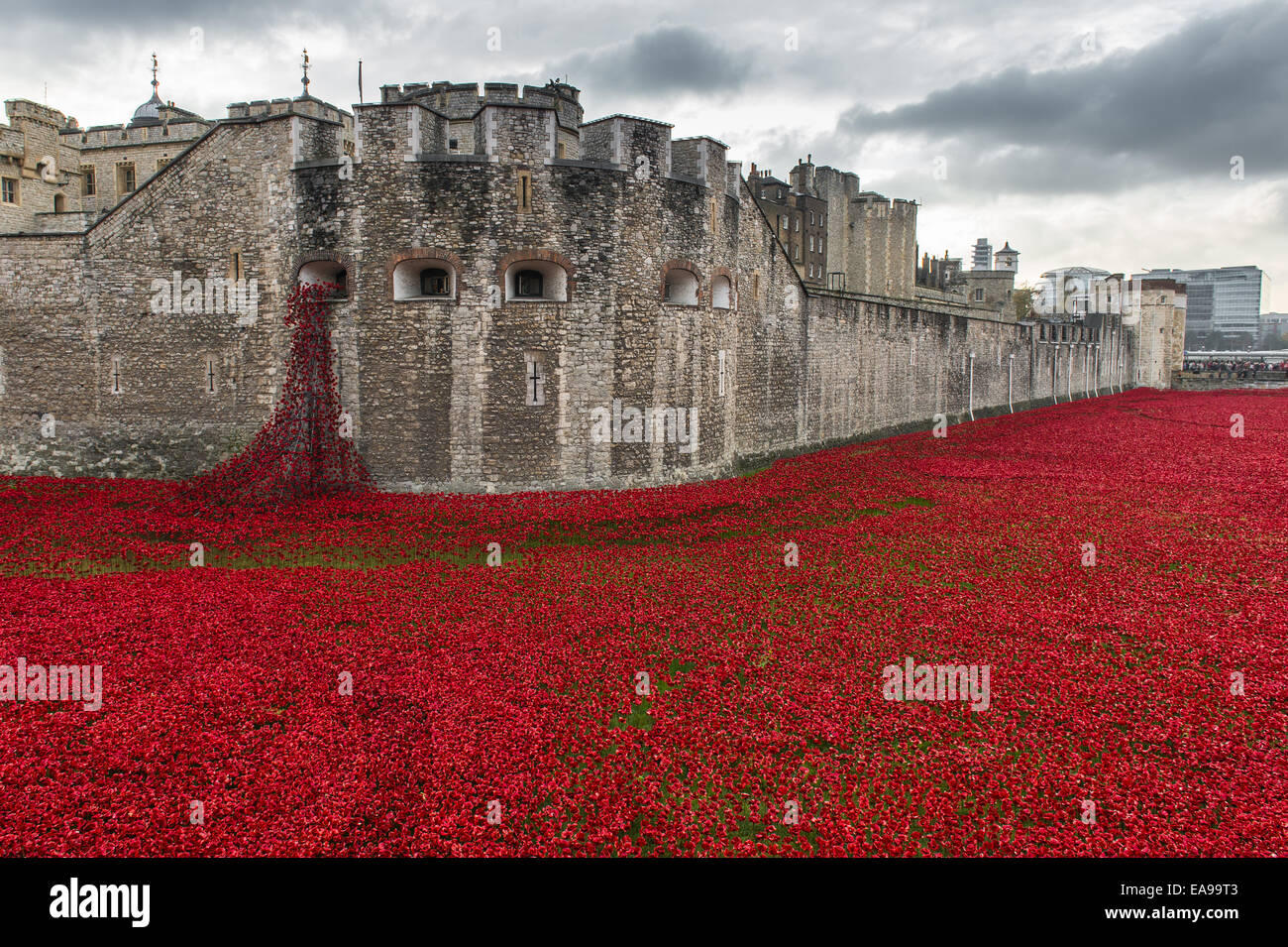 Poppies at Tower of London Poppies display Stock Photo