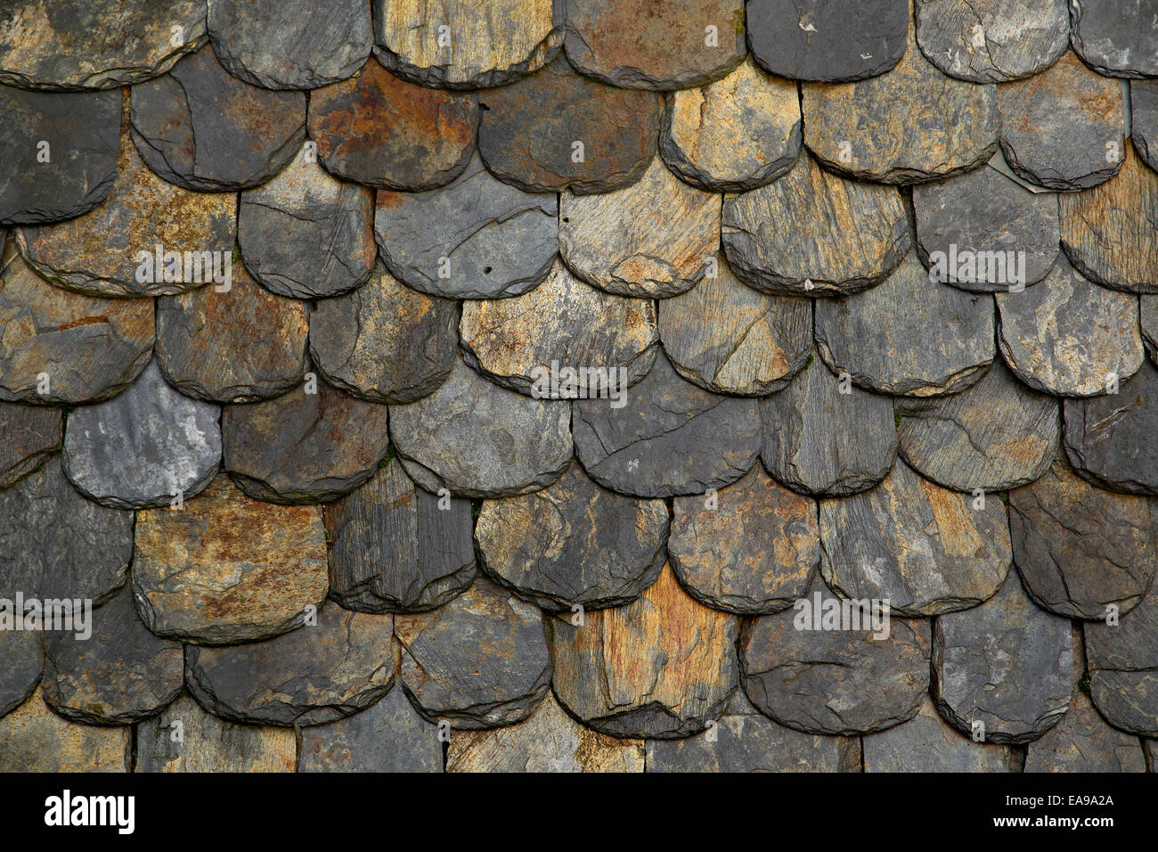 Old slate roof tiles with rounded edges in close-up Stock Photo