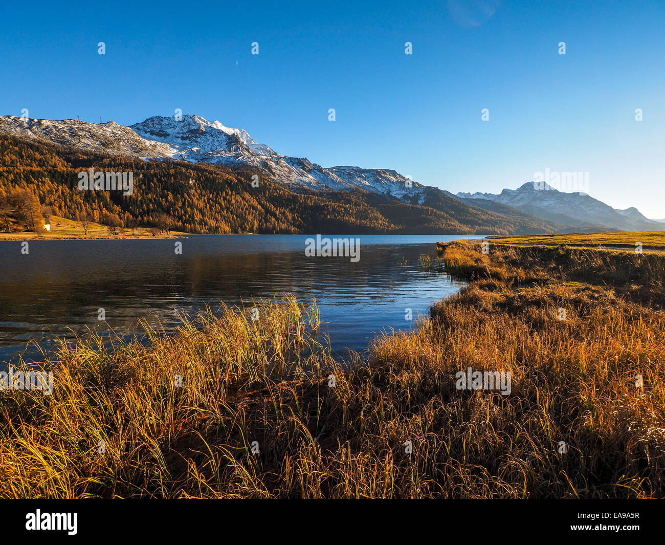 Beautiful mountains in swiss alps hi-res stock photography and images ...