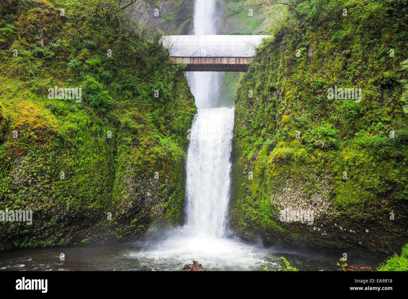 Multnomah Falls in Troutdale, Oregon at spring time Stock Photo Alamy