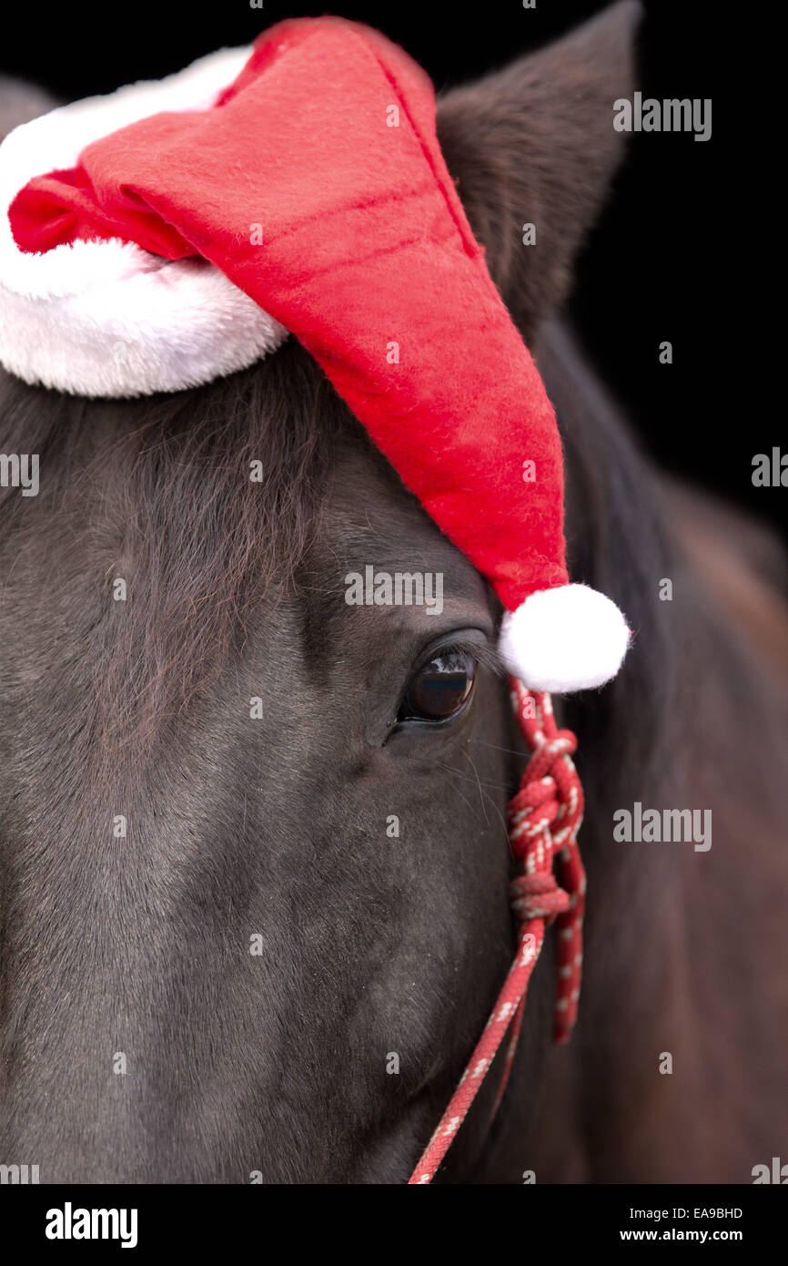 black and red santa hat