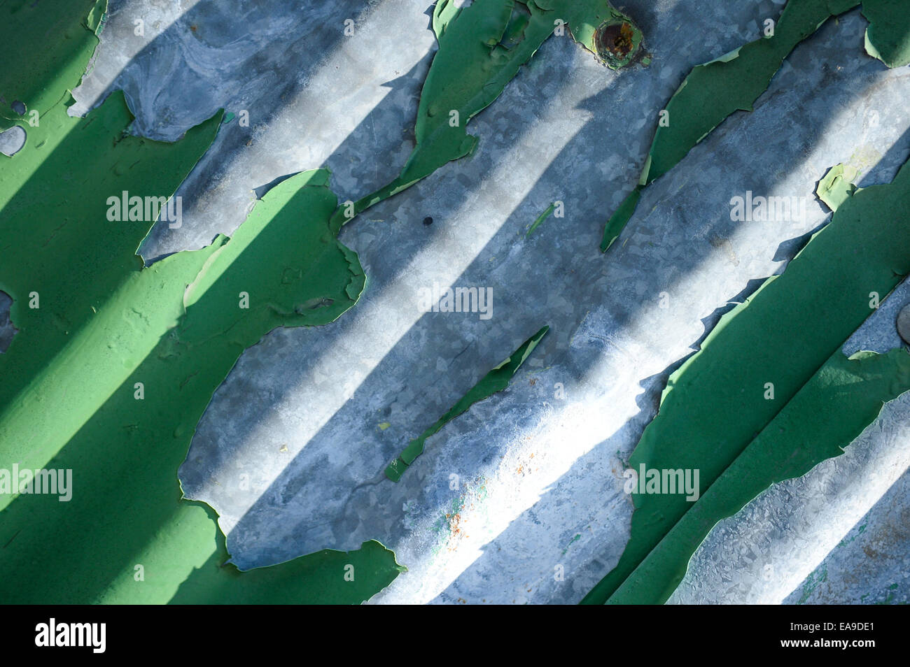 Peeling paint on corrugated Iron Stock Photo Alamy