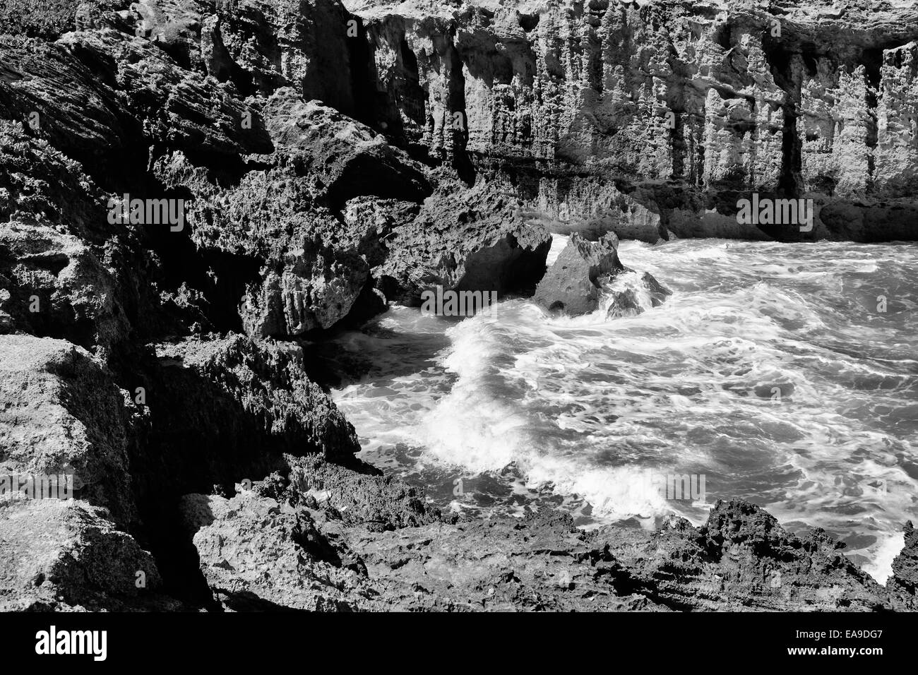 Beach on Oahu, Hawaii in black and white Stock Photo - Alamy