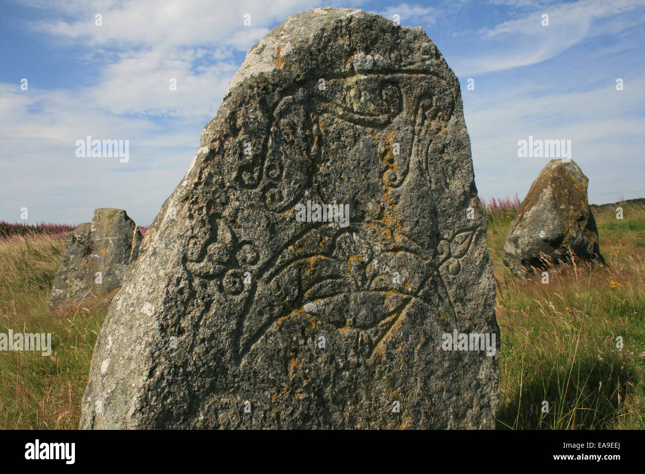 Pictish Stone at Crichie Henge Stock Photo