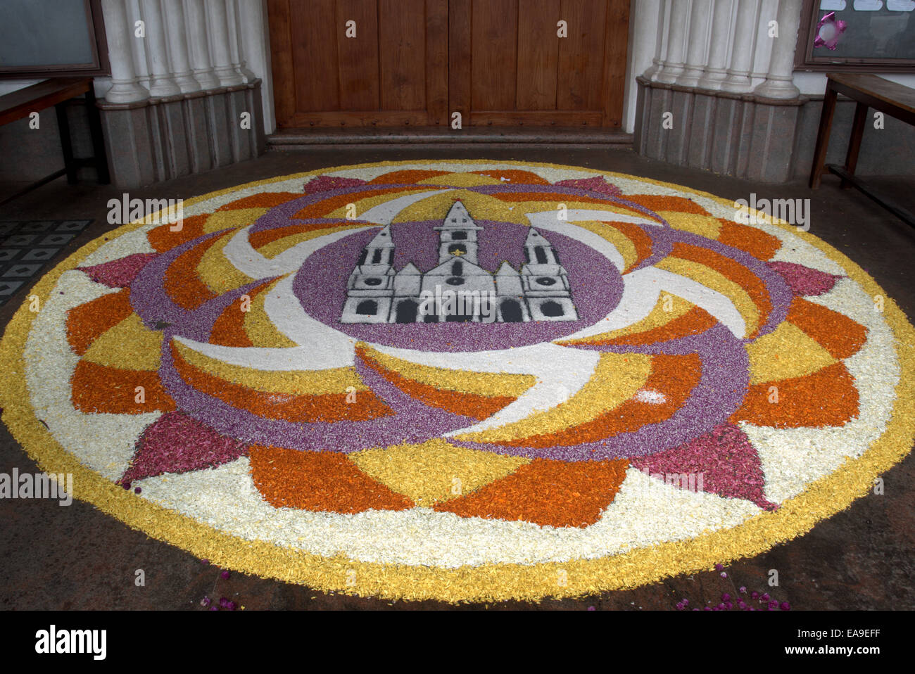 Pookalam floral flower carpet during the Onam festival in Kerala. Stock Photo