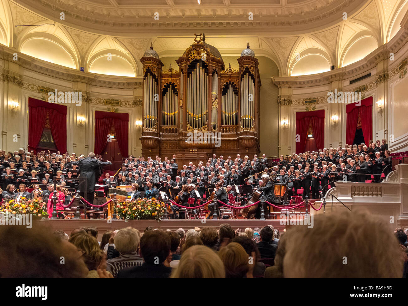 Amsterdam Royal Concertgebouw interior. Oratorio choir of 250 singing the Messiah. Sunday Matinee afternoon concert performance Stock Photo