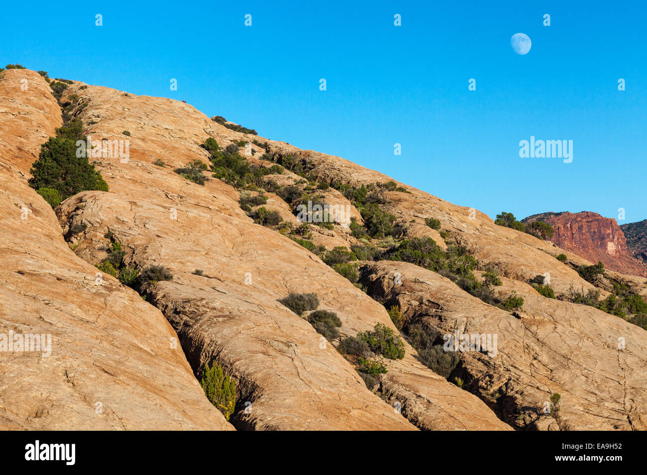 Arches rise hi-res stock photography and images - Alamy