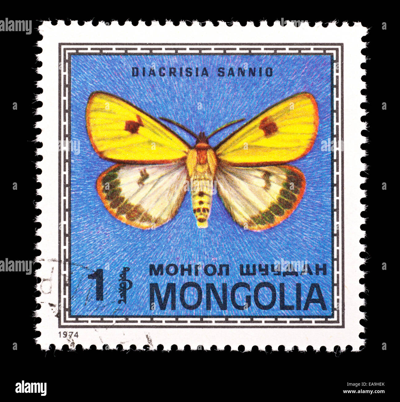 Postage stamp from Mongolia depicting a  Clouded Buff moth (Diacrisia sannio) Stock Photo