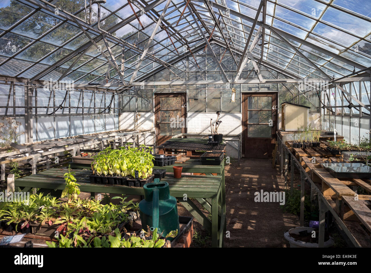 Overgrown Greenhouse High Resolution Stock Photography and Images Alamy