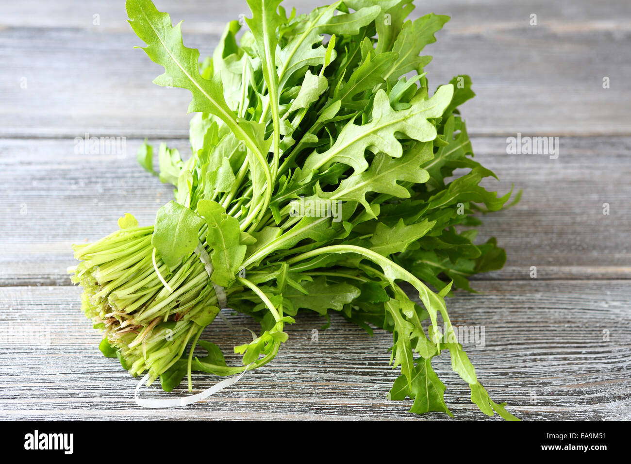 Arugula on the boards, wooden background Stock Photo