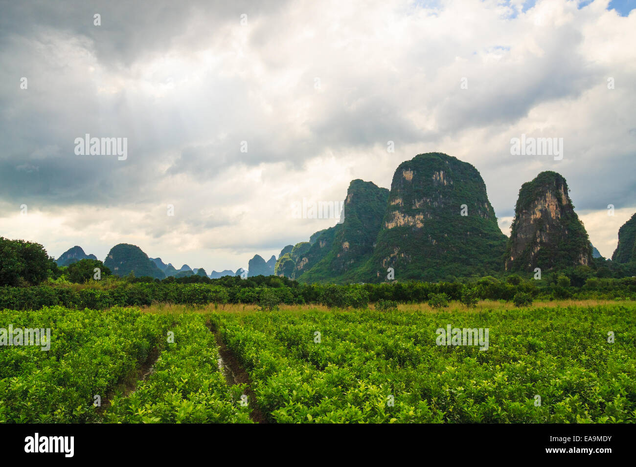 Southern China Landscape High Resolution Stock Photography And Images Alamy