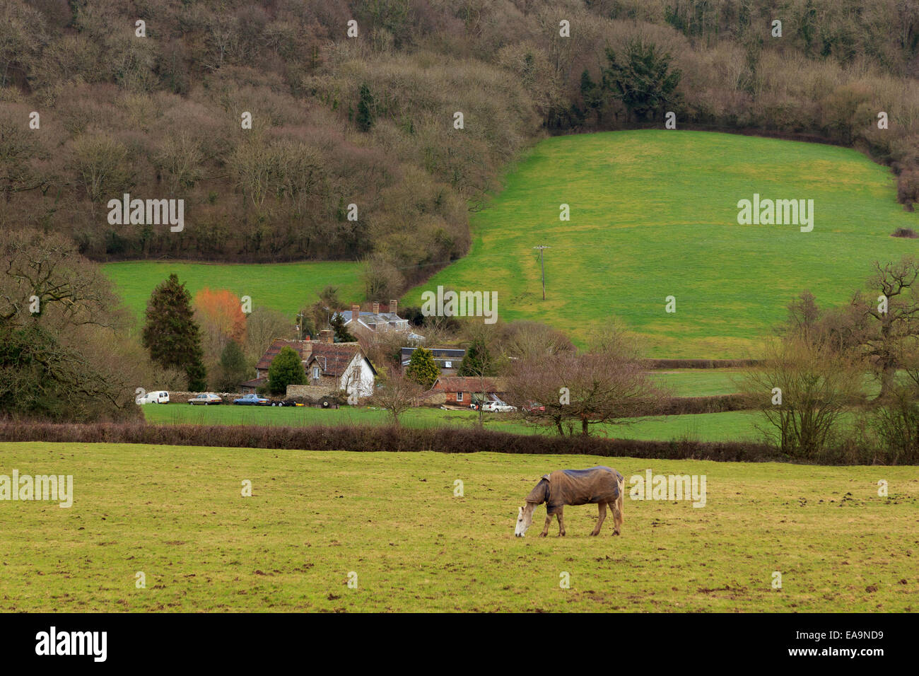 English landscape in the Blackdown Hills near the village of Blagdon