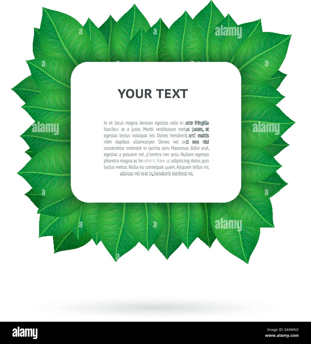Green leaves frame template isolated vector illustration Stock Vector ...