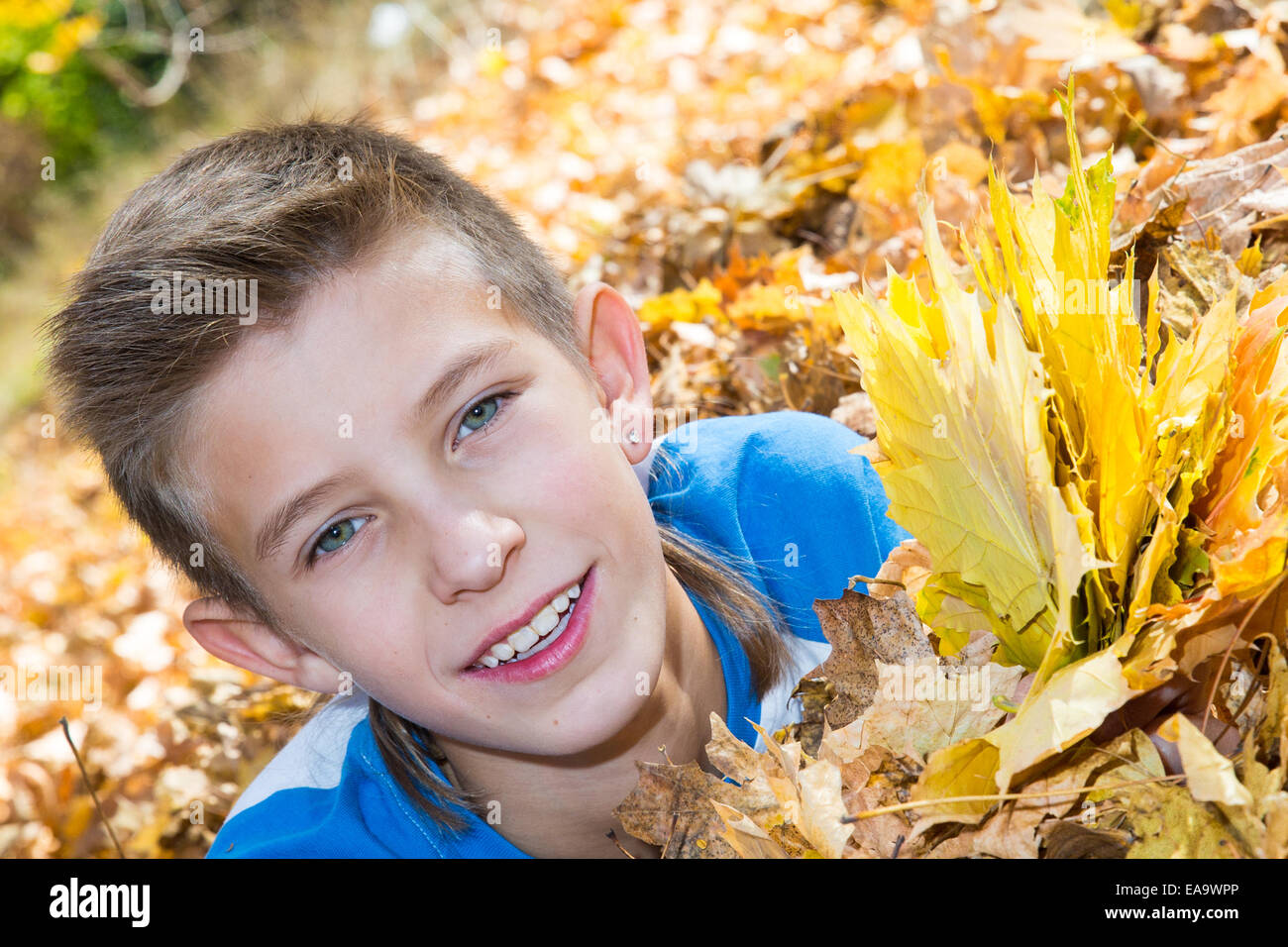 Fall. boy teenager  with leaves in autumn park Stock Photo
