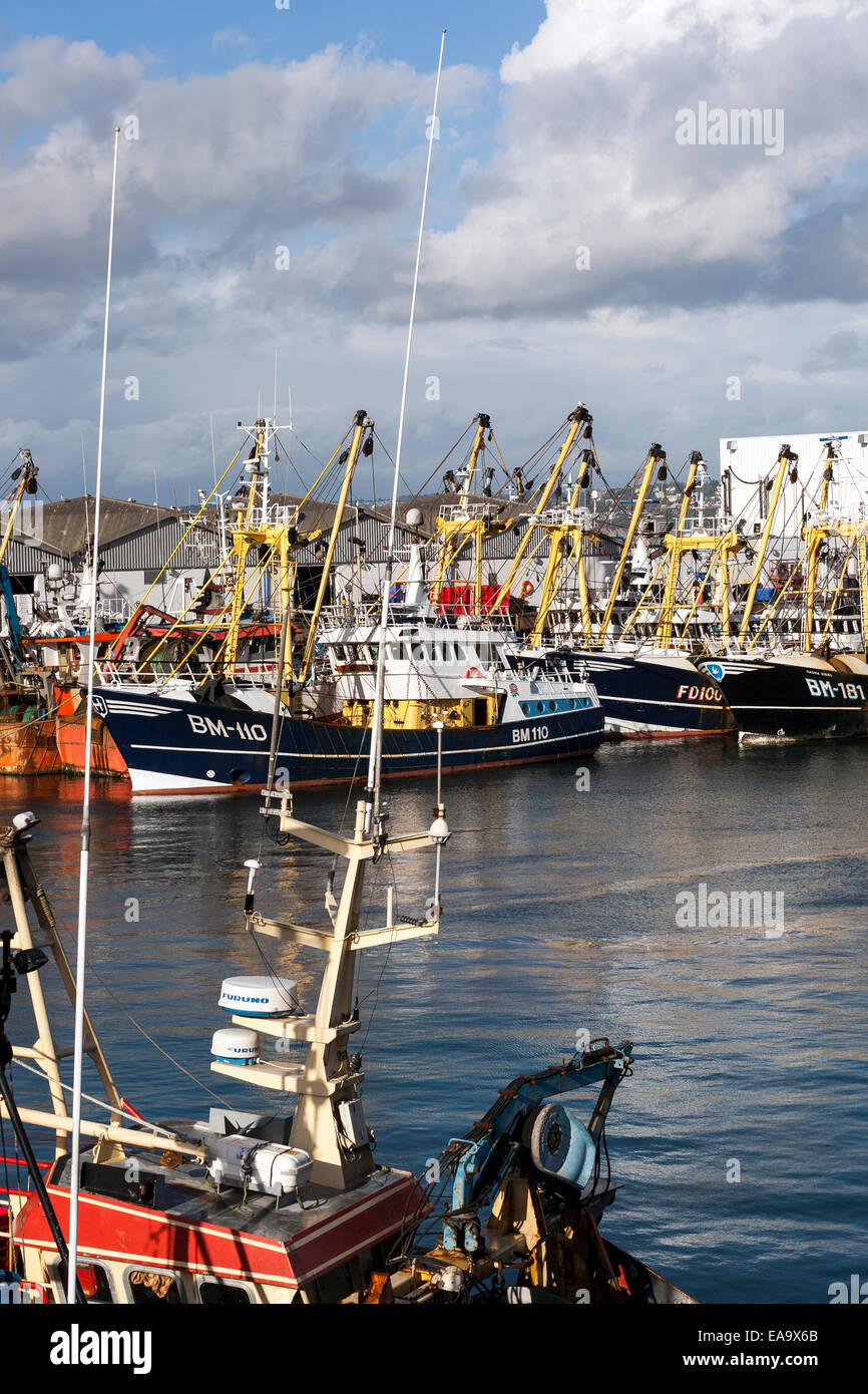 brixham trawler fleet,Brixham trawlers,esea,e.sea,trawler leaving Brixham harbour,wee boy,Wee Boy John trawler,Happily for Brixh Stock Photo